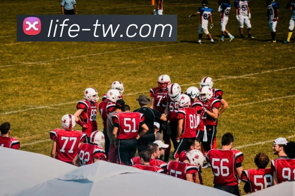 ld乐动服务体系