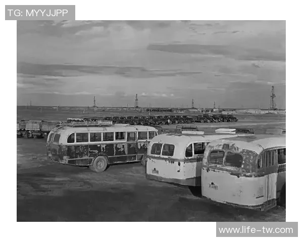 弗格的崛起与挑战：探索其在当代社会中的影响与未来发展方向